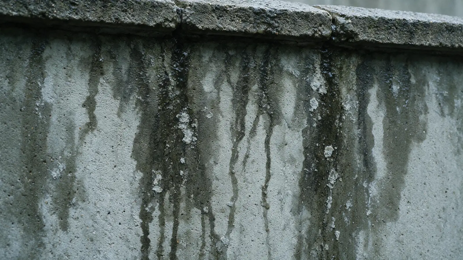 Zona de fachada con filtraciones de agua antes de los trabajos de impermeabilización